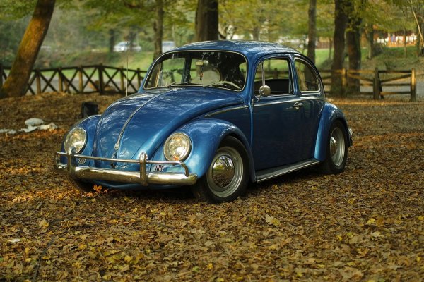 Older VW beetle parked around some leaves